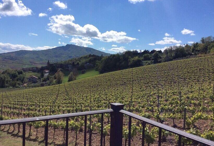 교외 호텔 Agriturismo Terre Vineate