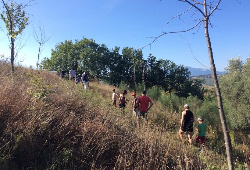 교외 호텔 Agriturismo Terre Vineate