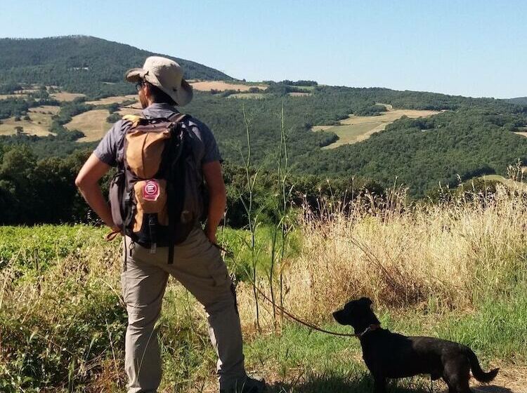 田舎風ホテル Agriturismo Villetta Di Monterufoli