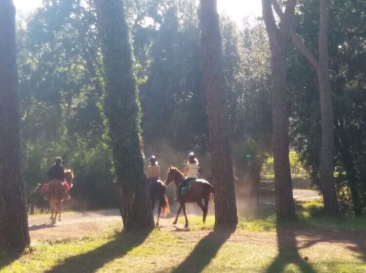 교외 호텔 Agriturismo Villetta Di Monterufoli