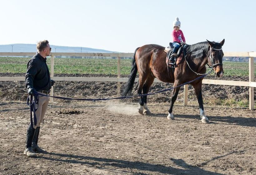 田舎風ホテル Pensiunea Tara Fagilor