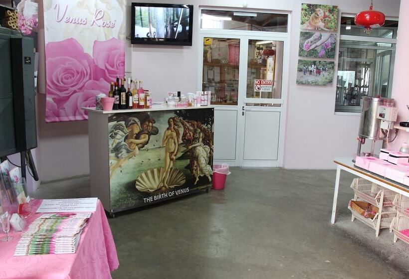 乡村酒店 Tzionis Holidays Stonehouse