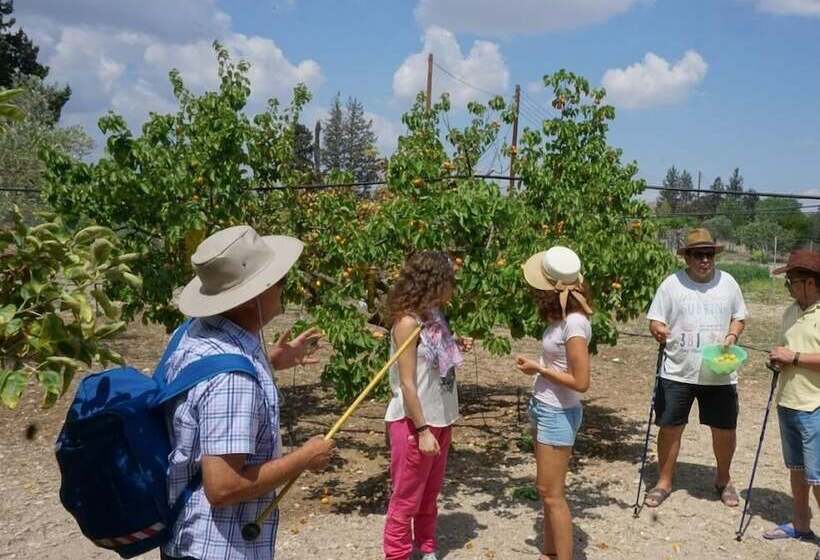 乡村酒店 Tzionis Holidays Stonehouse