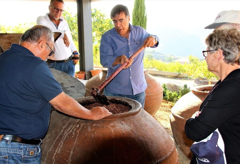 乡村酒店 Tzionis Holidays Stonehouse