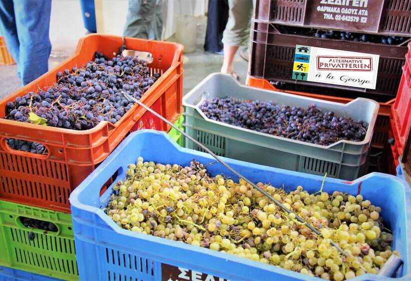 乡村酒店 Tzionis Holidays Stonehouse