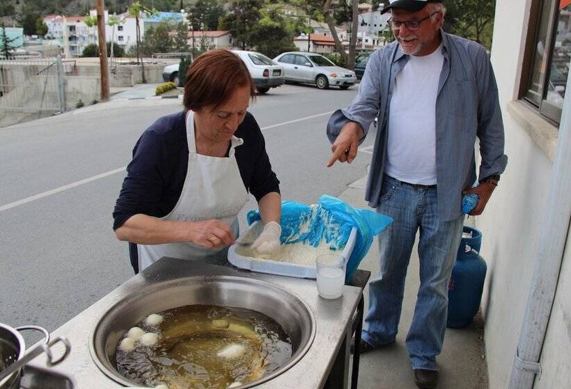 乡村酒店 Tzionis Holidays Stonehouse