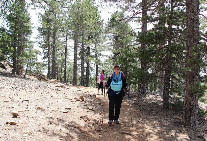 乡村酒店 Tzionis Holidays Stonehouse