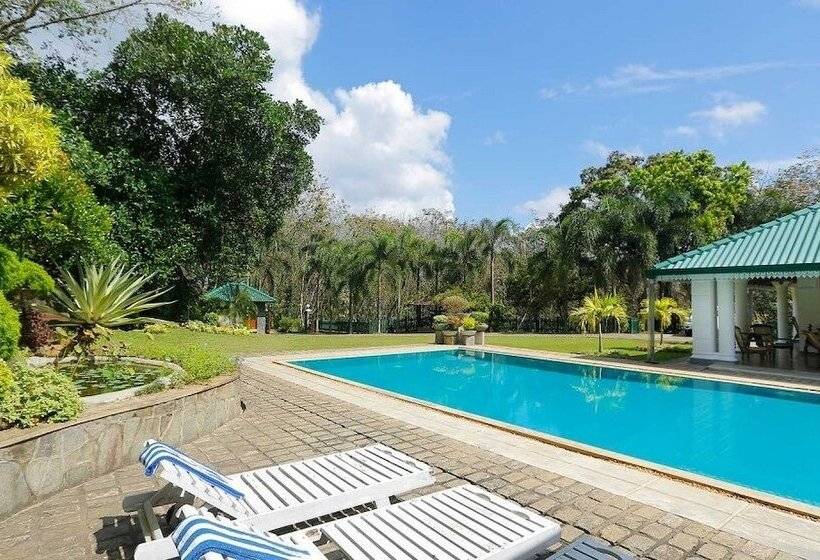 בית מלון כפרי Sanctuary Lodge