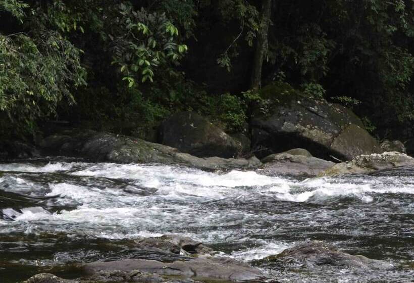 ホテル Sinharaja Birders Lodge