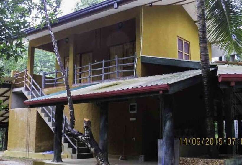 ホテル Sinharaja Birders Lodge