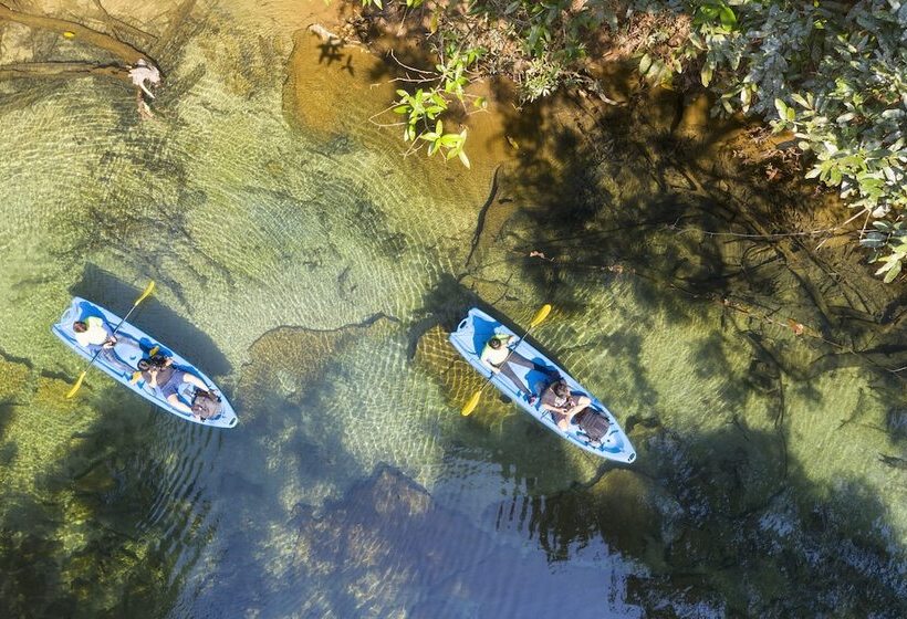 ホテル Springriver Resort