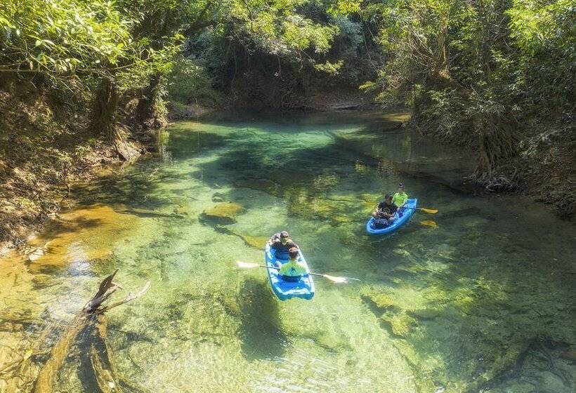 هتل Springriver Resort