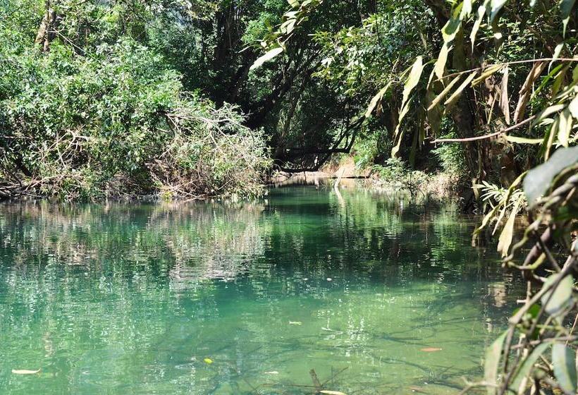 ホテル Springriver Resort