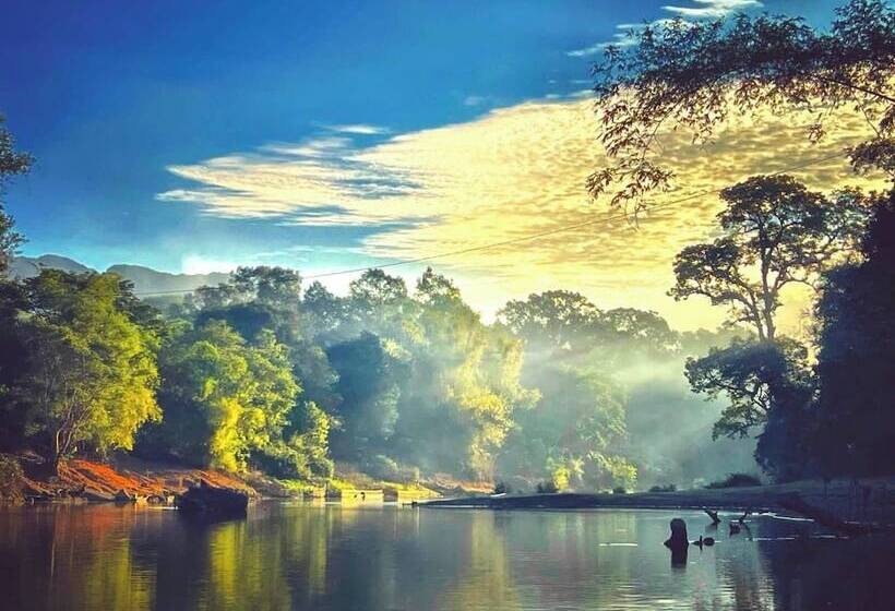 ホテル Springriver Resort