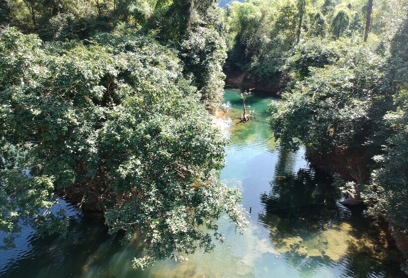 ホテル Springriver Resort