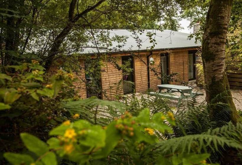 בית מלון כפרי The Elbowroom Escape