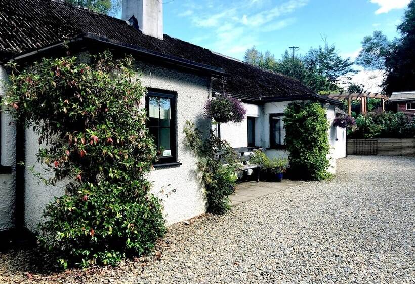 בית מלון כפרי The Elbowroom Escape