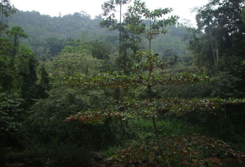 בית מלון כפרי Vini Villa