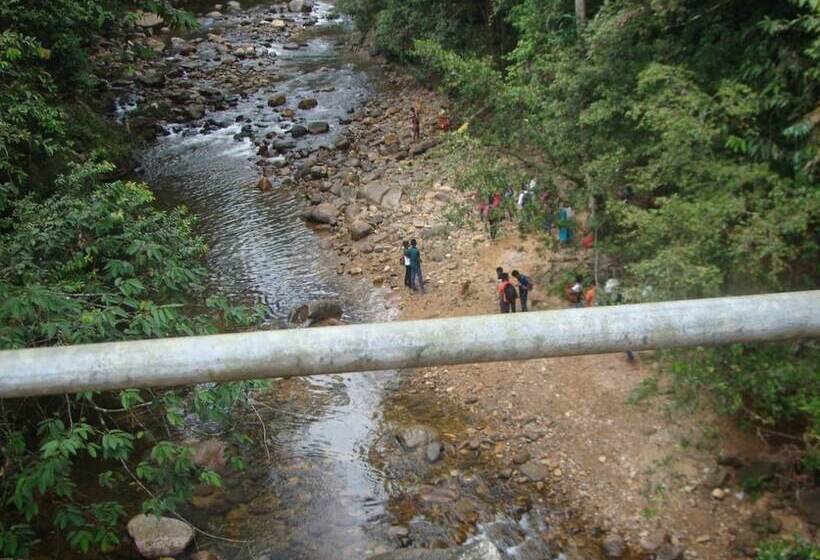 בית מלון כפרי Vini Villa