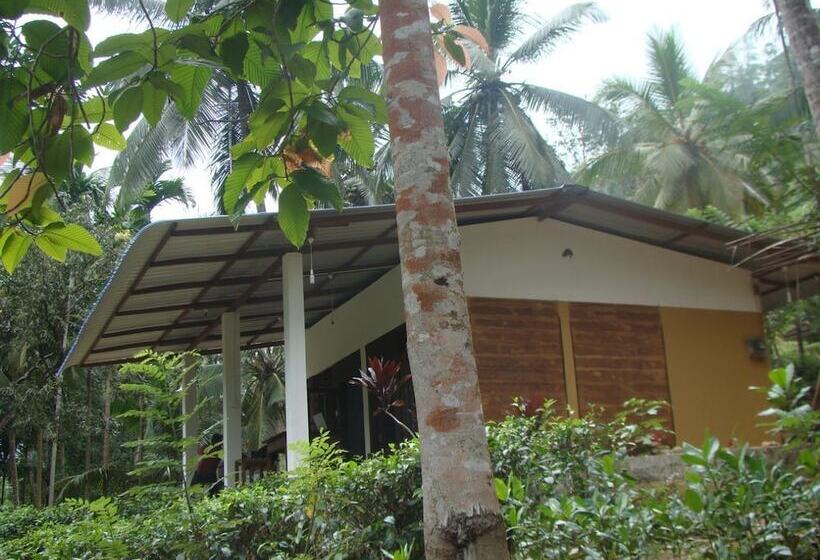 בית מלון כפרי Vini Villa