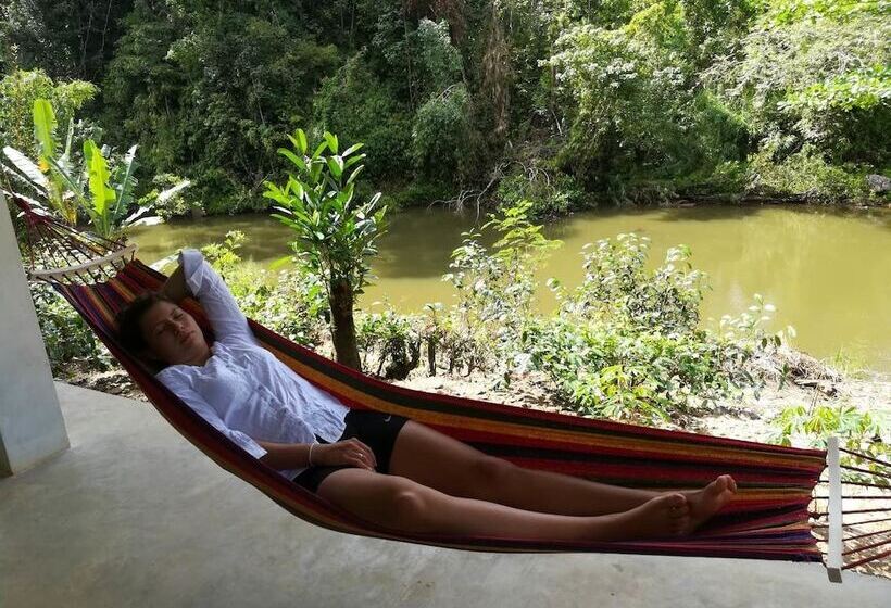 בית מלון כפרי Vini Villa