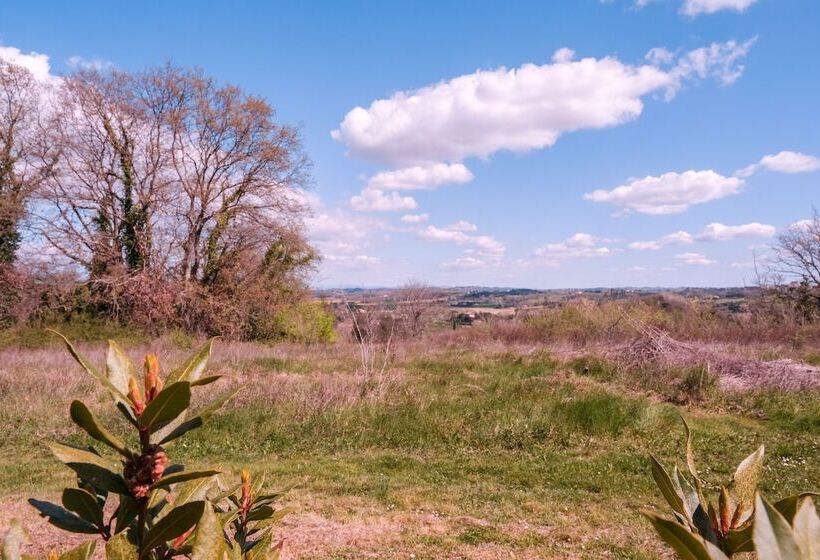 Il Poggio Di San Ruffino