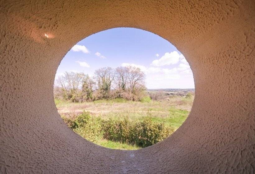 Il Poggio Di San Ruffino