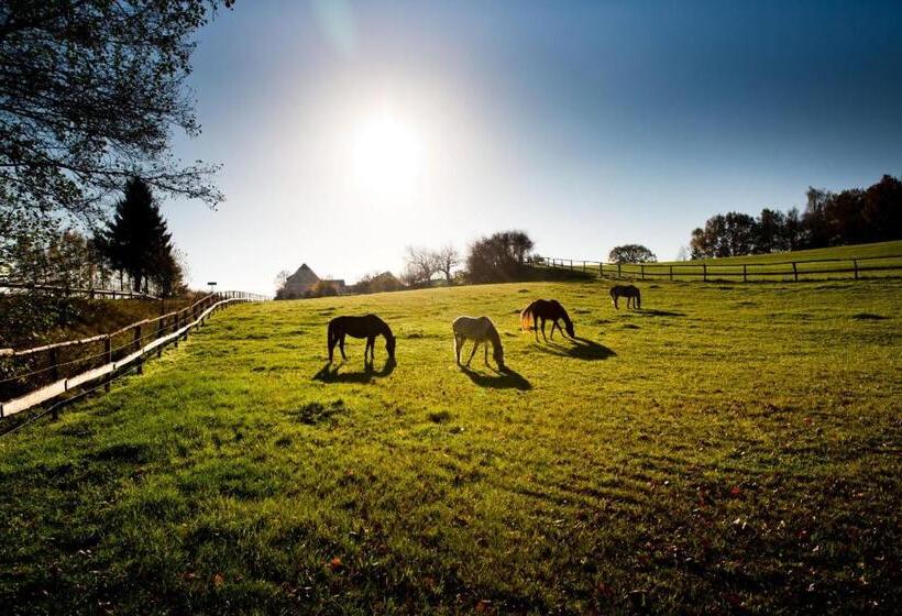 Landhotel Eulkretscham