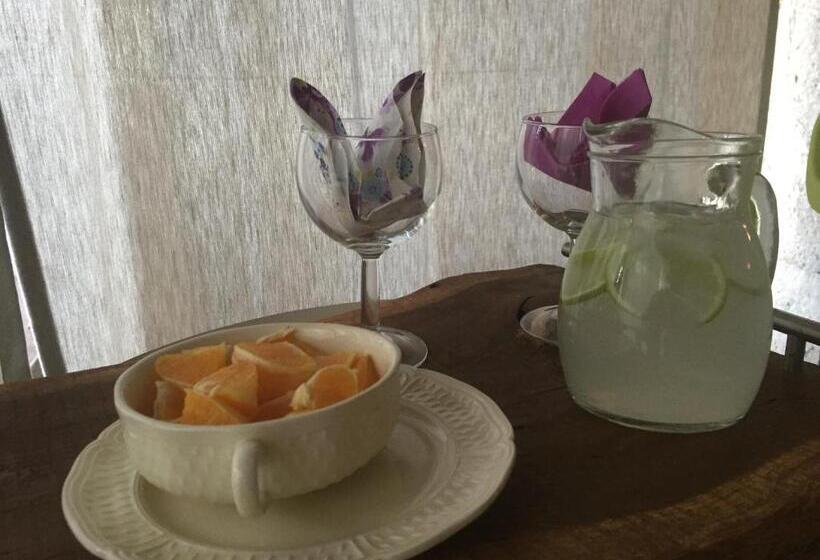 Le Mas Des Papillons Chambre D Hôtes B&b