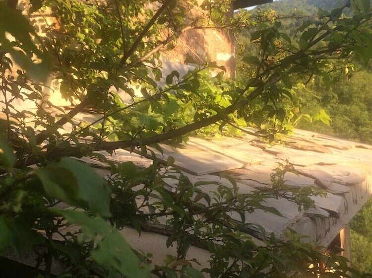 Medieval Village B&b