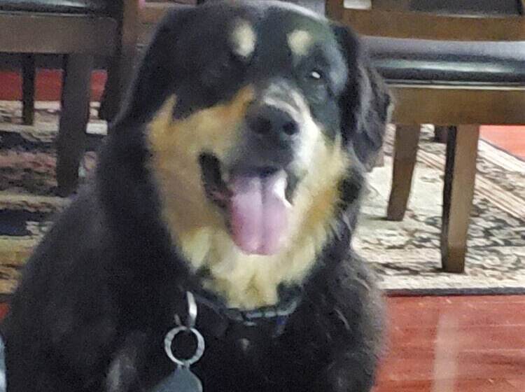 فندق على الطريق Shoreside Inn & Suites