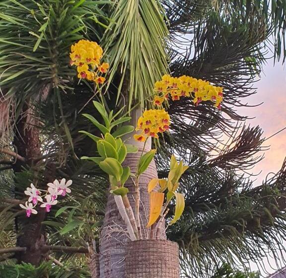 Пансион Cerah