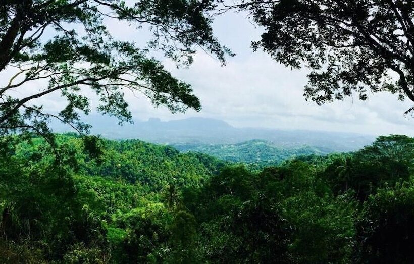 بنسيون Ceylon Saradiel Home Stay