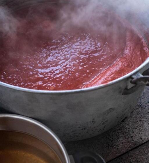 Пансион Delta Mayanka