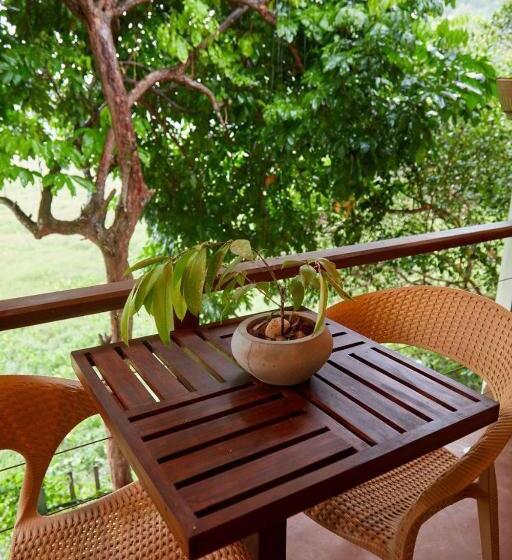 膳宿费 Green View Homestay