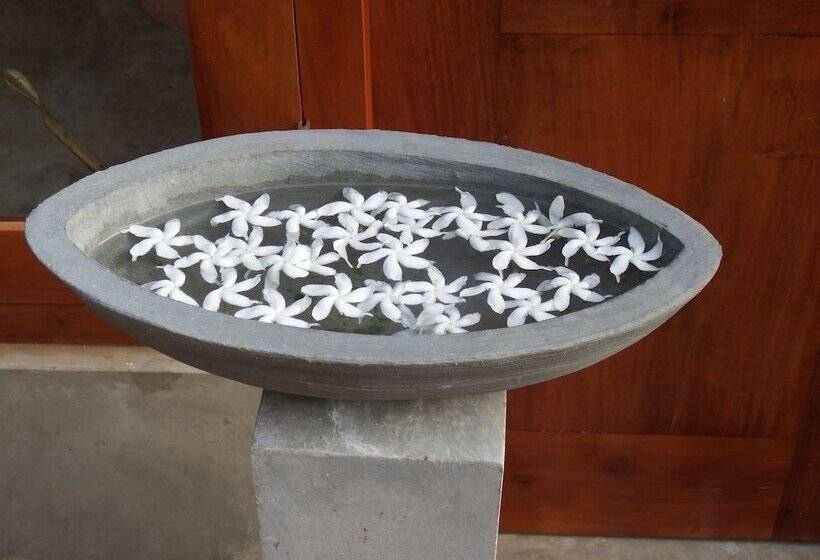 پانسیون Himana Ayurveda