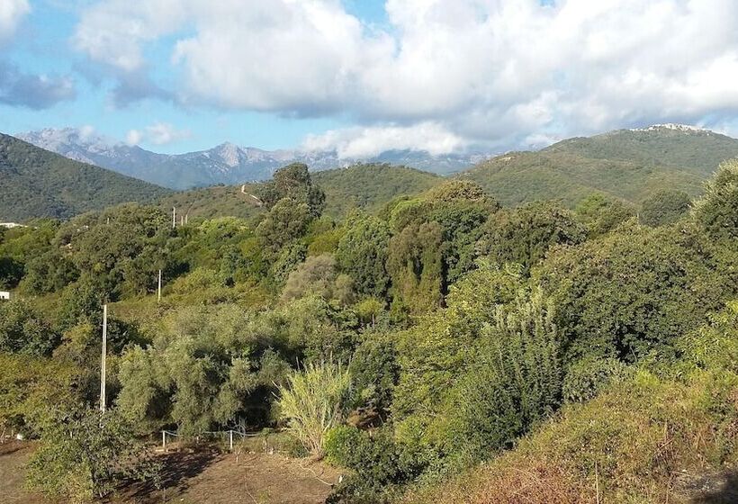 ペンション House Angeli