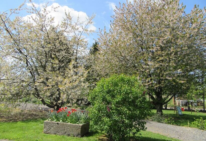 膳宿费 Le Petit Clos