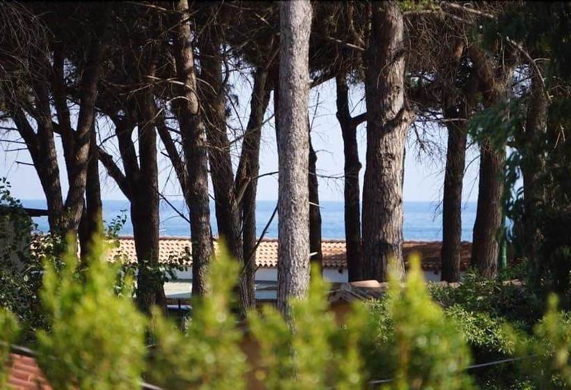 بنسيون Lvresidence Roccelletta