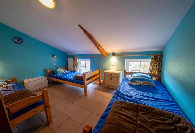 膳宿费 Sol Battire