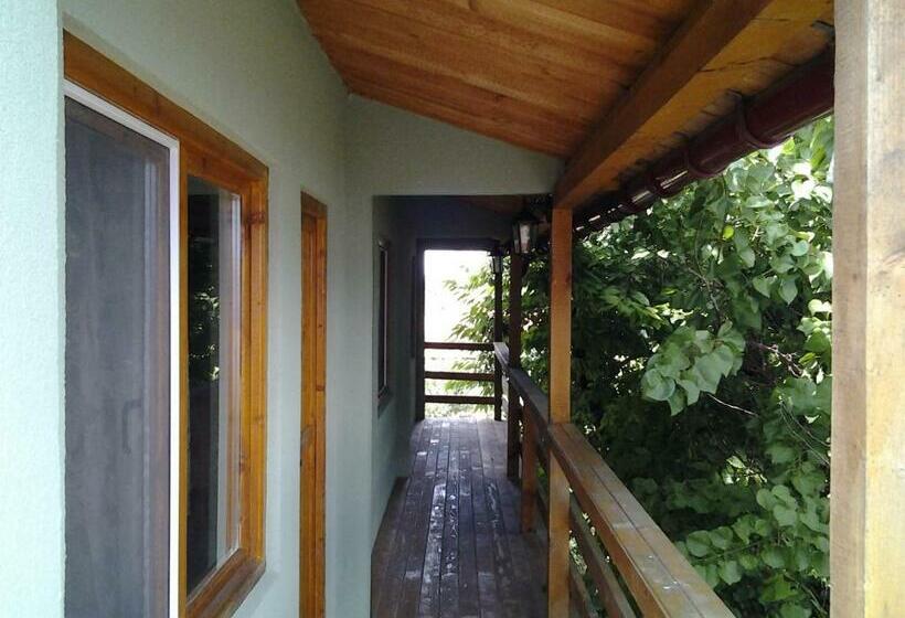 פנסיון Vilele Brise De Mer