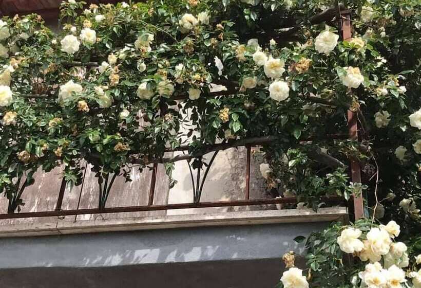 Querciabruna B&b Canneto