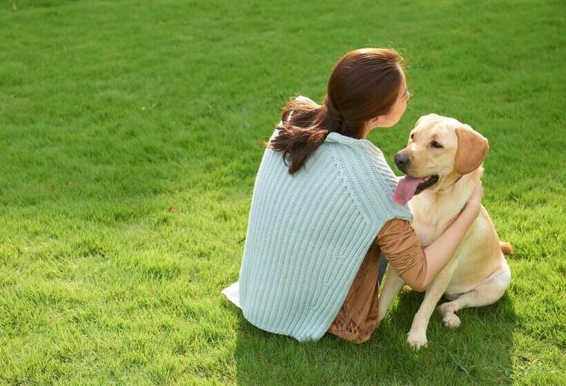 אתר נופש Koyarunosato Doggys Island