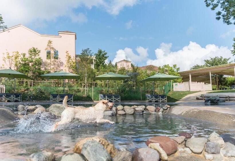 אתר נופש Koyarunosato Doggys Island