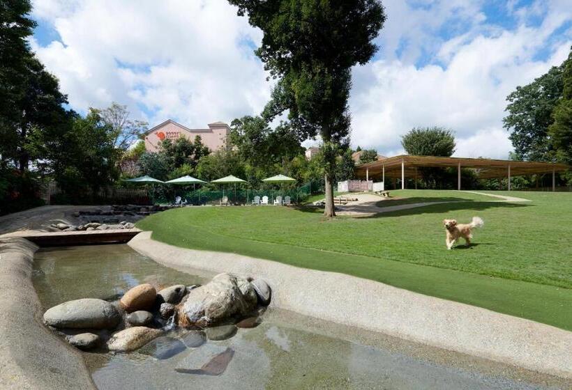 אתר נופש Koyarunosato Doggys Island