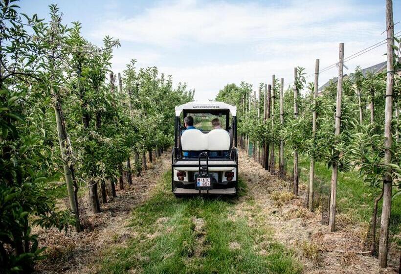 B&b De Fruithoeve