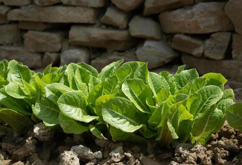 B&b Le Quattro Civette