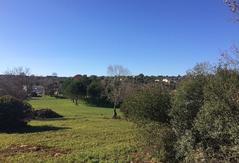 צימר Il Giardino Di Viola