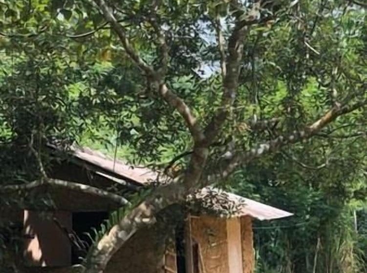 ホテル 360 Rainforest