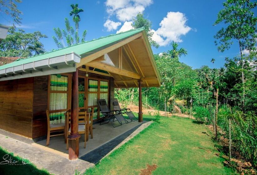 ホテル 360 Rainforest